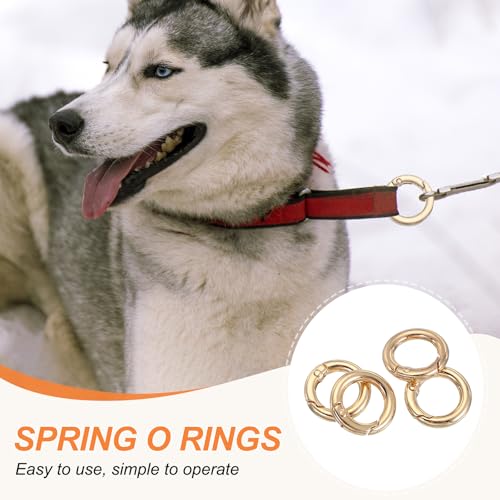 PATIKIL Metal Spring O Rings Round Clips Snap Buckle Clasps for DIY Crafts