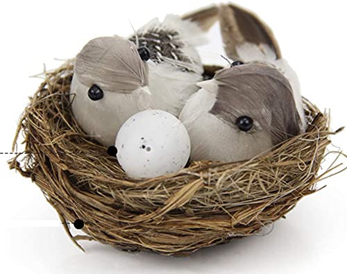 Realistic Feathered Bird Nest with Eggs Ornament for DIY Crafts and Home Decor