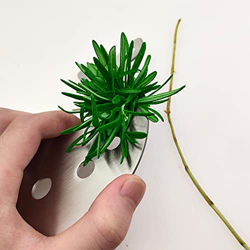 Stainless Steel Herb Stripper Tool with 10 Holes for Kitchen Use