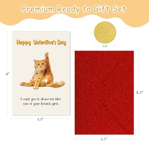 Funny Valentine's Day Card for Him - Naughty Cat Humor