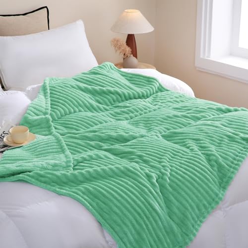 Mint Green Fleece Throw Blanket 50"x60" for Couch & Sofa
