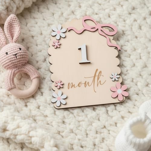 Baby Girl Monthly Milestone Signs - Double-Sided Nursery Decor