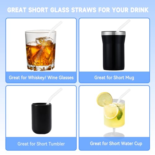 Colorful Reusable Glass Straws - 10 Pcs Shatter Resistant