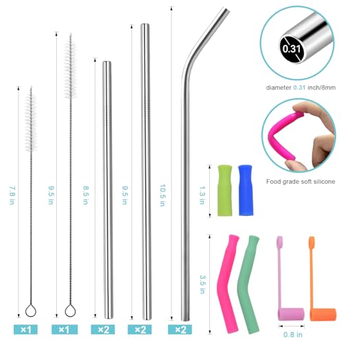 6-Piece Reusable Stainless Steel Straw Set with Silicone Tips & Case - Silver