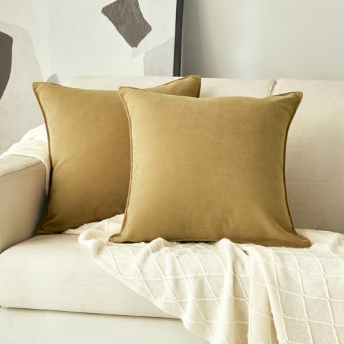 Light Green Chenille Throw Pillow Covers 18x18 Set of 2 for Home Decor