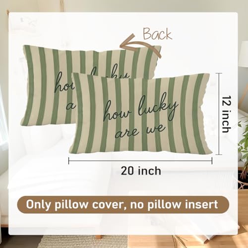 How Lucky Are We - Green Decorative Pillow Cover 12x20 | Inspirational Quote
