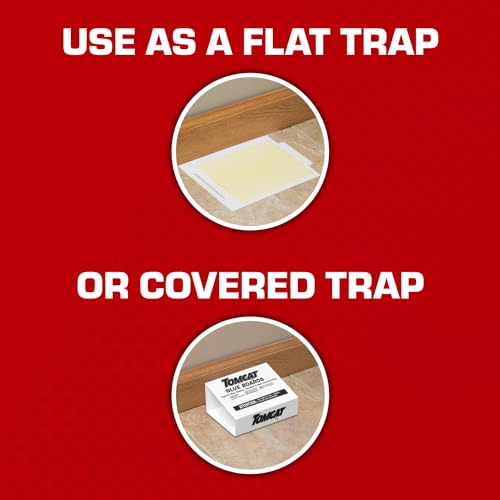 Tomcat Glue Boards with Eugenol - 4 Non-Toxic Sticky Traps