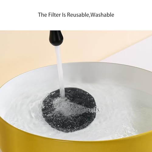Eureka NEU100 Vacuum Filters Replacement - Compatible with NEU10AE5, NEU10AE4, NEU102