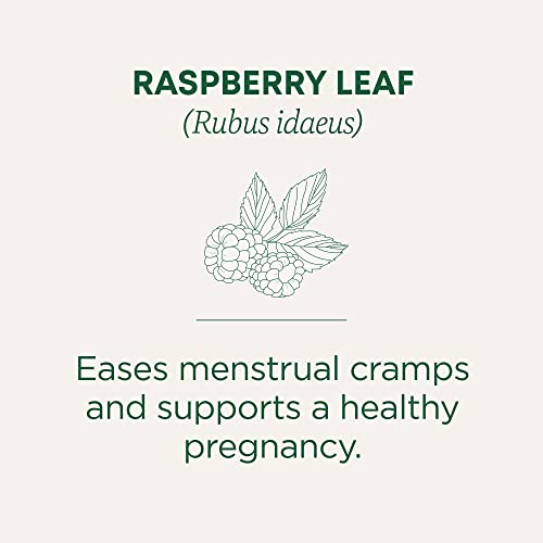 Organic Raspberry Leaf Tea - 16 Tea Bags for Menstrual Support