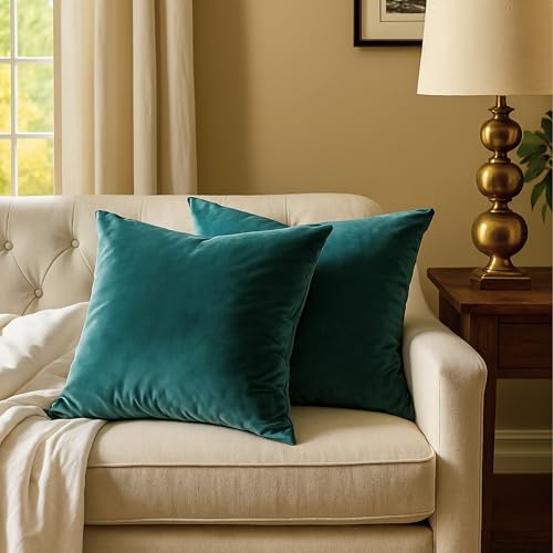RELY+ 20x20 Inch Velvet Throw Pillow Covers, Teal - Set of 2