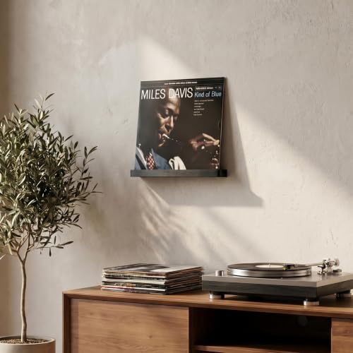 Heimlove Wall Mount Vinyl Record Shelf - Solid Wood Display, Black