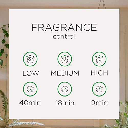Air Wick Automatic Air Freshener Spray Refill, Paradise Retreat, 5.89 Fl Oz (Pack of 4)