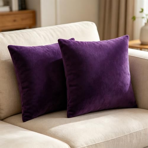 Bunliuys 2 Pack 18x18 Velvet Throw Pillow Covers - Eggplant Purple