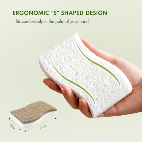 SetSail Biodegradable Kitchen Sponges - 12 Pack Eco-Friendly Dish Cleaners