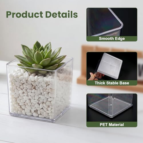 Wowang 4x4 Inch Clear Square Acrylic Vases - 2 Pack Modern Cube Flower Vase