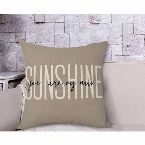 AOYEGO Multi-a294 You Are My Sunshine Throw Pillow Cover 18x18 Inch Inspirational Quote Cushion Case for Home Decor