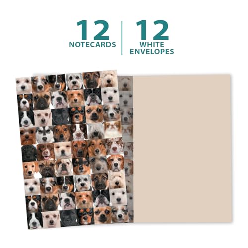 Tree-Free Greeting Cards - Whimsical Dog Collage - 12 Pack