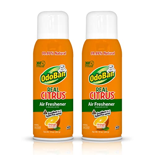 OdoBan Citrus Air Freshener Spray, 10 Oz (Pack of 2) - Orange Scent