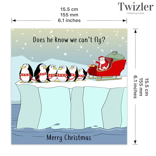 Funny Christmas Card - Sleigh Penguins Holiday Greeting Card for Men Women Kids