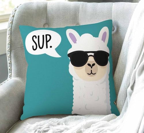 Swono Funny Llama Throw Pillow Cover Case, 18x18 inch, Sw-007