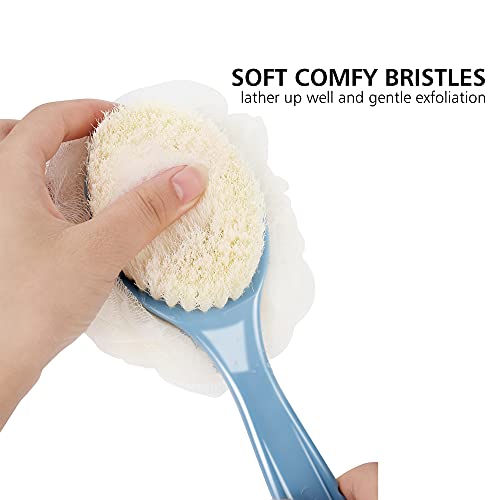 HONOMA 2-in-1 Shower Back Scrubber with Long Curved Handle - Blue