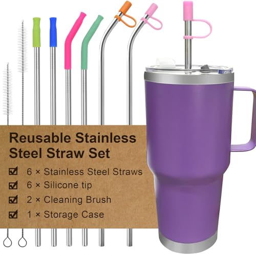 6-Piece Reusable Stainless Steel Straw Set with Silicone Tips & Case - Silver