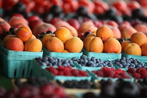 Green Berry Basket - 15 Pack Vented Produce Containers for Fruits & Vegetables