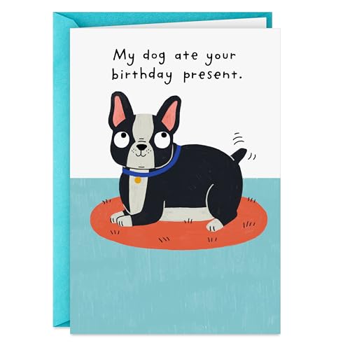 Funny Dog Birthday Card - My Dog Ate Your Present, 5x7.2in