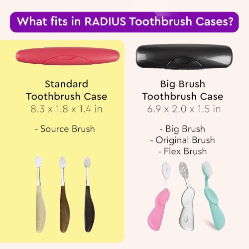 RADIUS Portable Toothbrush Travel Case - BPA-Free Light Blue