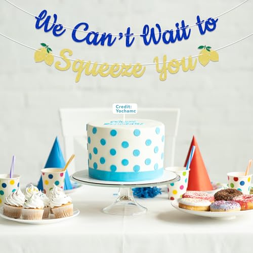 We Can't Wait To Squeeze You Banner | Italian Lemon Baby Shower Decor