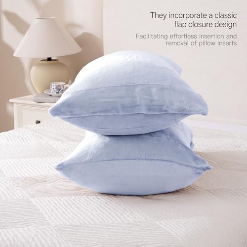 King Size Velvet Pillowcases (2 Pack) - Ultra Soft Baby Blue Covers