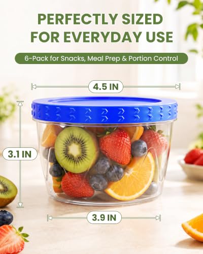 LUOFNI 6 Pack 17 Oz Blue Reusable Freezer Storage Containers - Airtight, Leakproof, BPA Free