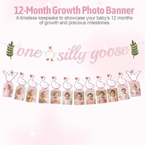 Silly Goose First Birthday Decor Set for Girls - 4 PCS
