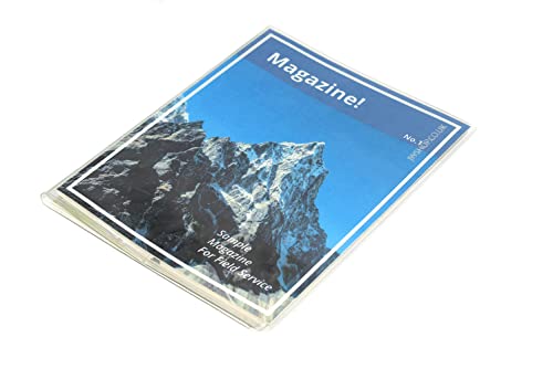 ASVP Shop Vinyl Magazine and Tract Organizer Holder