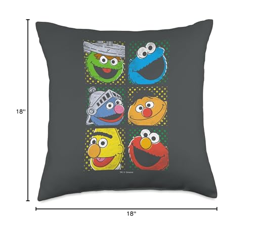 Sesame Street Group Squares Throw Pillow, 18x18, Multicolor