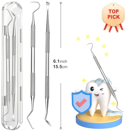 G.CATACC 2 Pack Dental Pick and Plaque Remover Kit with Travel Case