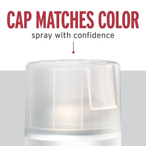 Rust-Oleum Stops Rust Matte Clear Spray Paint 12 oz - Weather & Rust Resistant