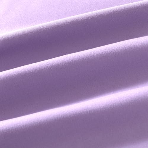 NookZuzu Light Purple Pillow Covers, 2-Pack Standard Size 20x26 Microfiber