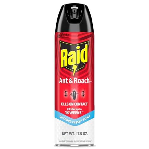 Raid Ant & Roach Killer Spray, Outdoor Fresh Scent, 17.5 oz - Kills for 13 Weeks