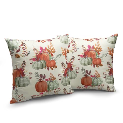 Autumn Pumpkin Pillow Covers Set of 2 - 18x18 Inch Decorative Cushions
