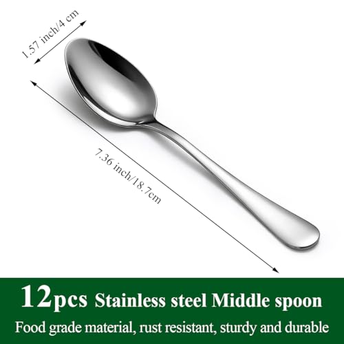 Berglander Stainless Steel Dinner Spoons Set 12pcs 7.36" Silverware Kitchen & Restaurant