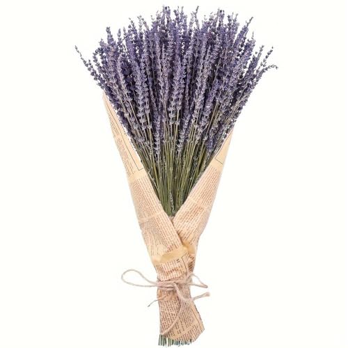 100+ Natural Dried Lavender Flowers Bundle for Home Decor