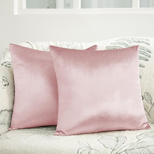 Counfeisly Pink Velvet Throw Pillow Covers, 18x18 Inch, 2 Pack