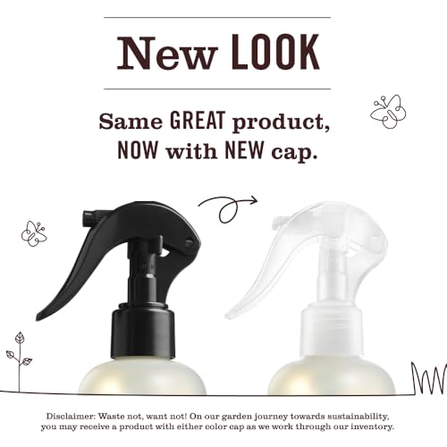 Mrs. Meyer's Peppermint Room and Air Freshener Spray, 8 Fl Oz (Pack of 2)