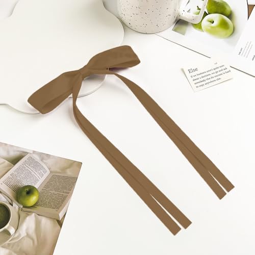 LAOTIDui Satin Hair Bow Clips for Women Large Coquette Hair Ribbon 2Pcs
