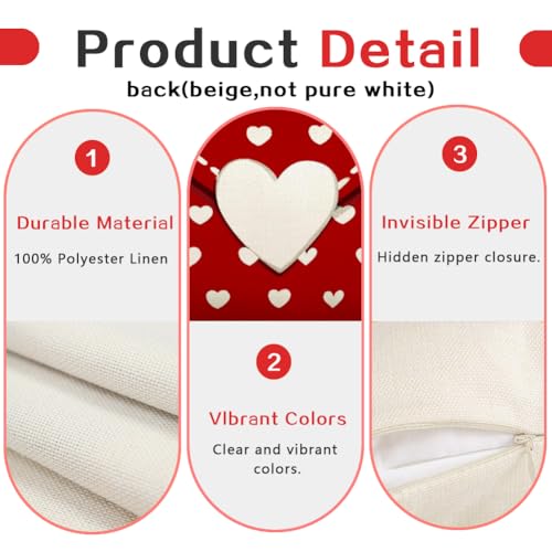 RABUSOFA Beige Valentine's Day Pillow Covers 18x18 Inch Set of 2