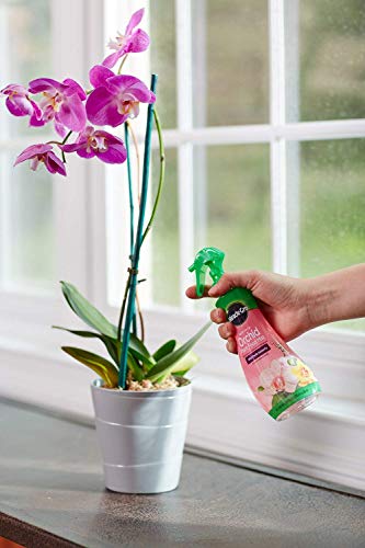 Miracle-Gro All Purpose Water Soluble Plant Food Mist 8oz Pack of 6 for Orchids