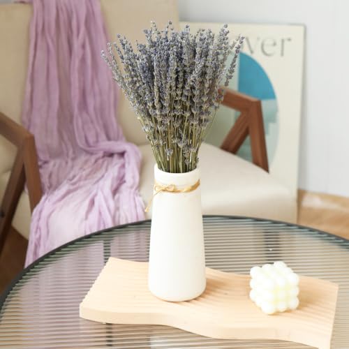 100+ Natural Dried Lavender Flowers Bundle for Home Decor