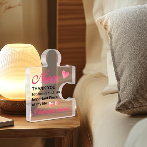 Acrylic Puzzle Piece Desk Sign - Thoughtful Niece Gift