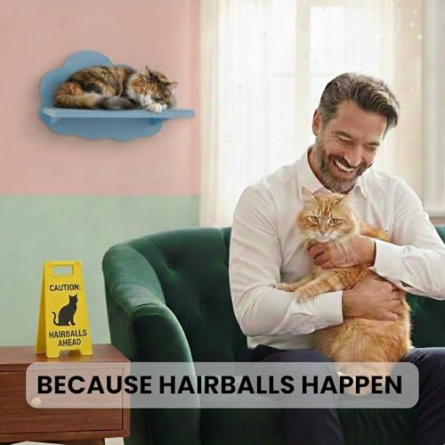 Caution Hairballs Ahead Mini Sign - Funny Gift for Cat Lovers